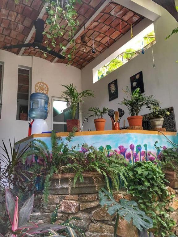 Вілла Palapa Chili # Саюліта Екстер'єр фото